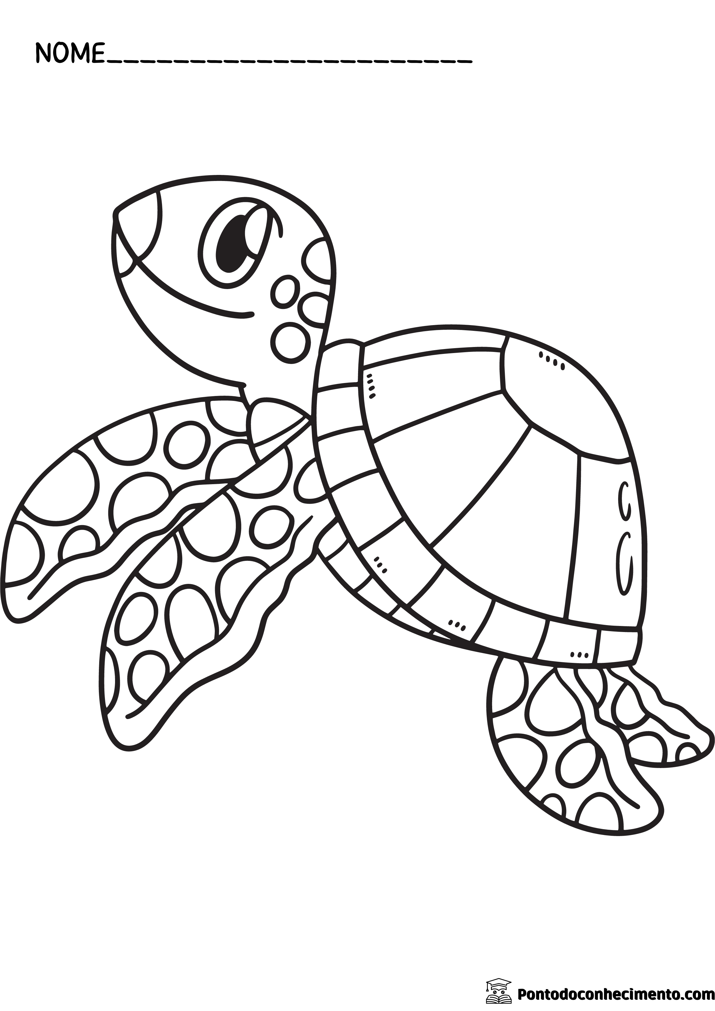 tartaruga: Desenhos infantis para colorir