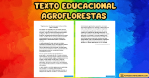 Leia mais sobre o artigo Texto educacional: Agroflorestas