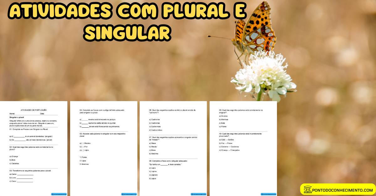 Você está visualizando atualmente Atividades com Plural e Singular