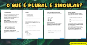 Leia mais sobre o artigo O que é Plural e Singular?