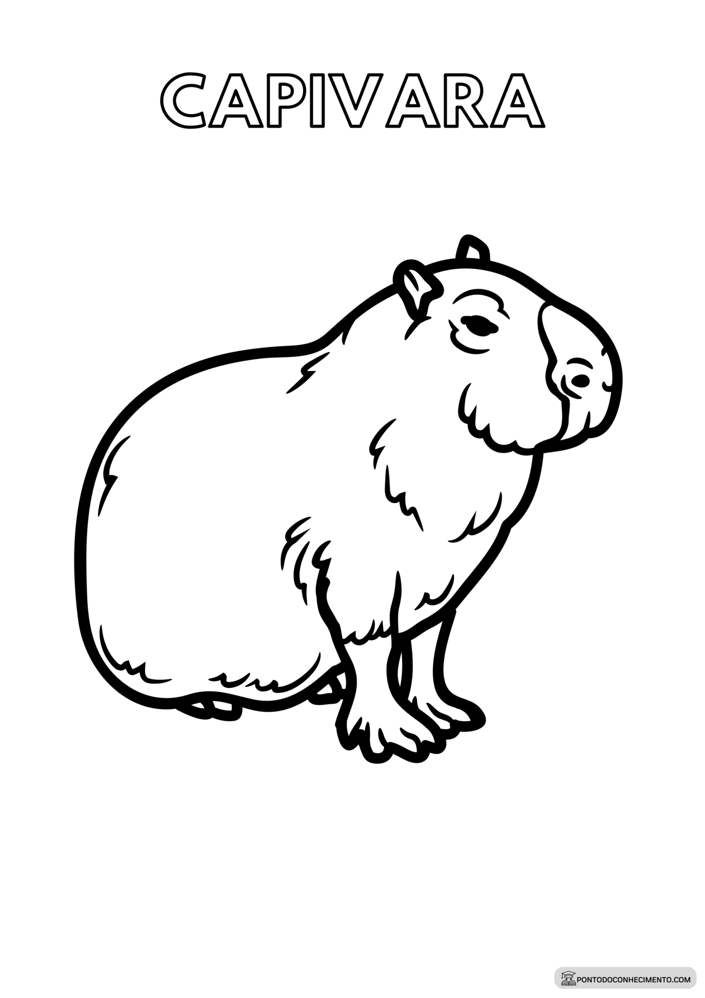 Animais da fauna brasileira para colorir - Ponto do Conhecimento