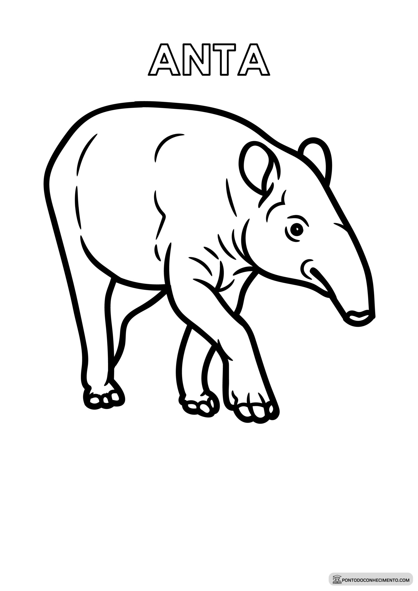 Animais da fauna brasileira para colorir - Ponto do Conhecimento