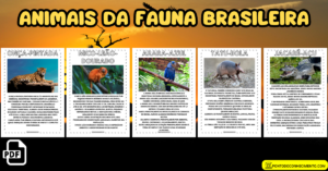 Leia mais sobre o artigo Animais da fauna brasileira