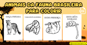 Leia mais sobre o artigo Animais da fauna brasileira para colorir