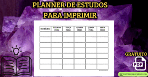 Leia mais sobre o artigo Planner de estudos para imprimir